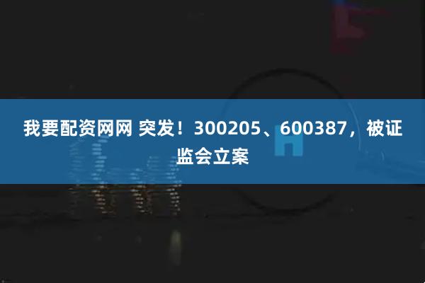 我要配资网网 突发！300205、600387，被证监会立案