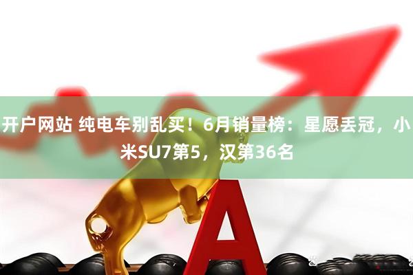 开户网站 纯电车别乱买！6月销量榜：星愿丢冠，小米SU7第5，汉第36名