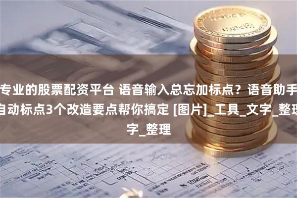 专业的股票配资平台 语音输入总忘加标点？语音助手自动标点3个改造要点帮你搞定 [图片]_工具_文字_整理