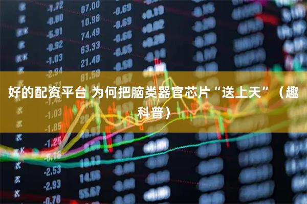 好的配资平台 为何把脑类器官芯片“送上天”（趣科普）